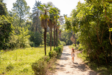 Similar image 22331789