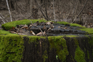 Similar image 22332129