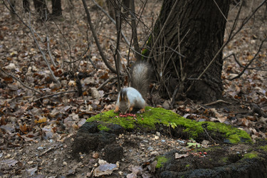 Similar image 22331790