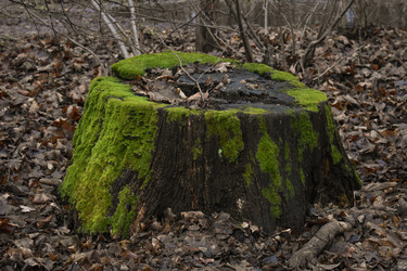 Similar image 22332130