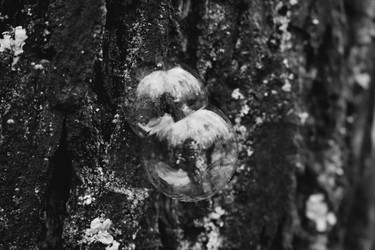 Similar image 22332131