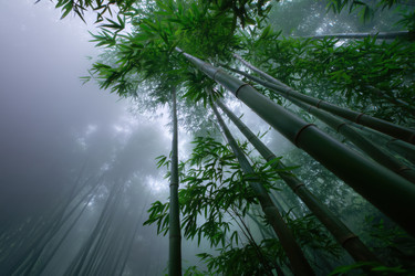 Similar image 22332008