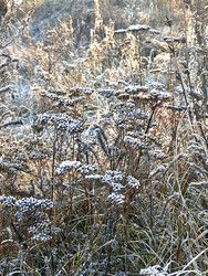 Similar image 22331800