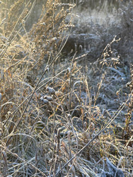 Similar image 22331801