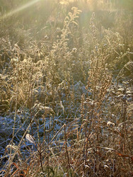 Similar image 22331802