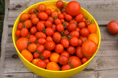 Similar image 22332132