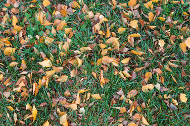 Similar image 22332133