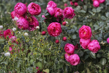 Similar image 22332899