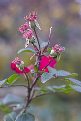 Similar image 22332901