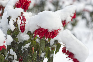 Similar image 22332902