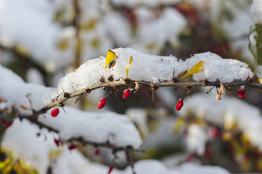 Similar image 22332903