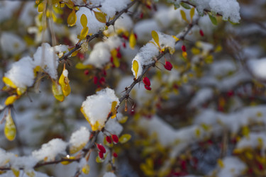 Similar image 22332904