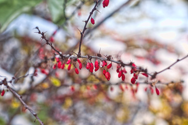 Similar image 22332906