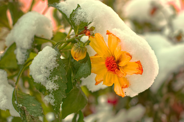 Similar image 22332907