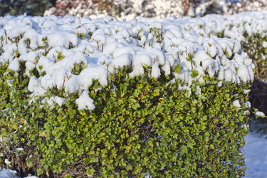 Similar image 22332908