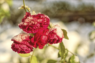 Similar image 22332909