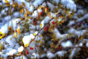 Similar image 22332910