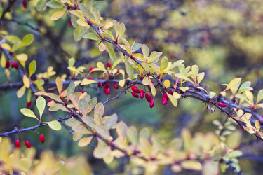 Similar image 22332911