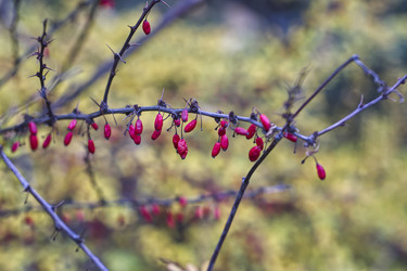 Similar image 22332912