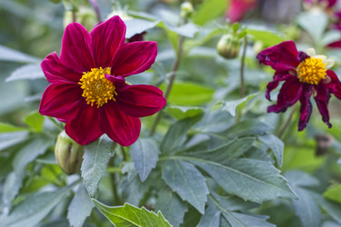 Similar image 22332913