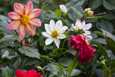 Similar image 22332914