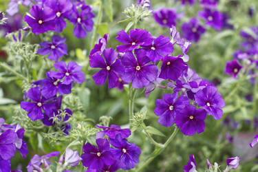 Similar image 22332915