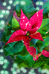 Similar image 22332408