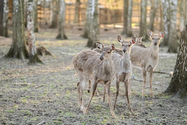 Similar image 22332269