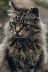 Similar image 22332276