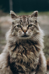 Similar image 22332277