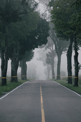 Similar image 22332279