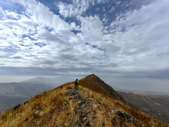 Similar image 22332413