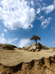 Similar image 22332420