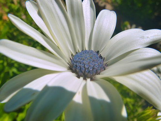 Similar image 22332948