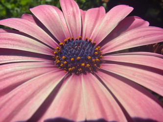 Similar image 22332949