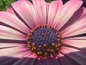 Similar image 22332950