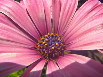 Similar image 22332951