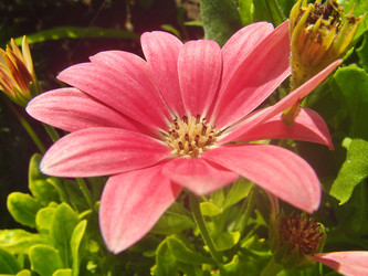 Similar image 22332952