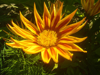 Similar image 22332953