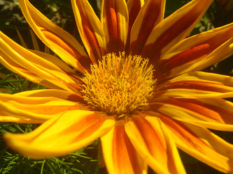 Similar image 22332954