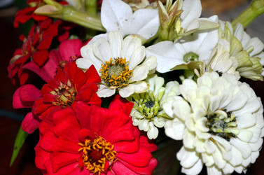 Similar image 22332975