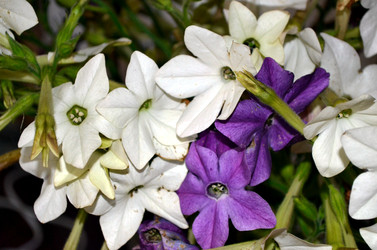 Similar image 22332976