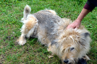 Similar image 22332983