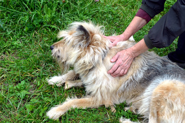 Similar image 22332984