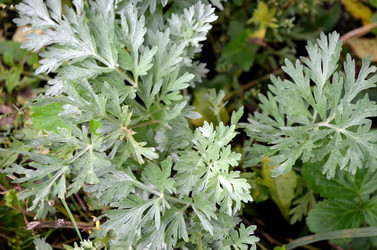 Similar image 22332985