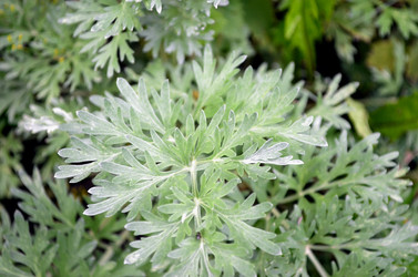 Similar image 22332986