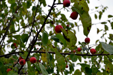 Similar image 22332987