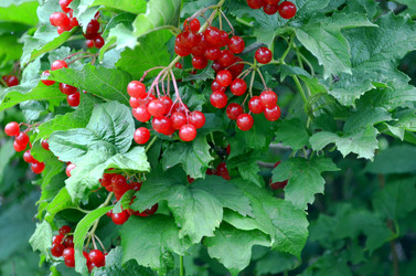 Similar image 22332988