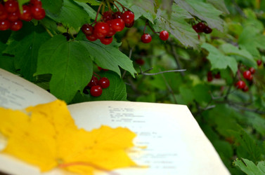 Similar image 22332990