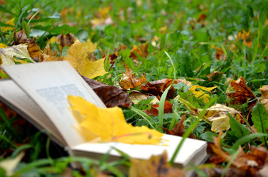 Similar image 22332992